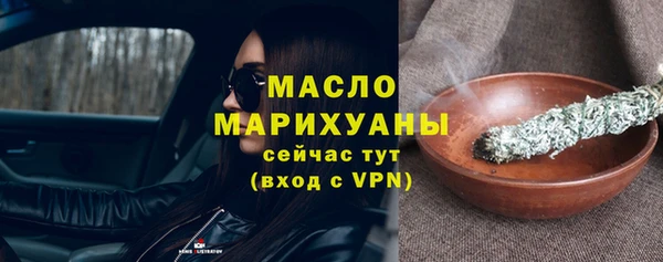 твердый Новозыбков