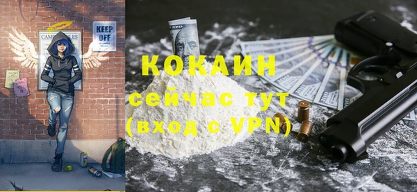 твердый Новозыбков