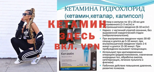твердый Новозыбков