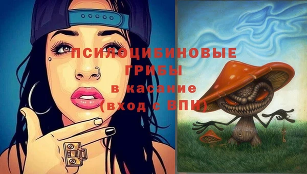 соль курить ск Новодвинск