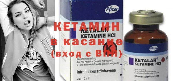 твердый Новозыбков