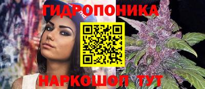 МДПВ Заводоуковск